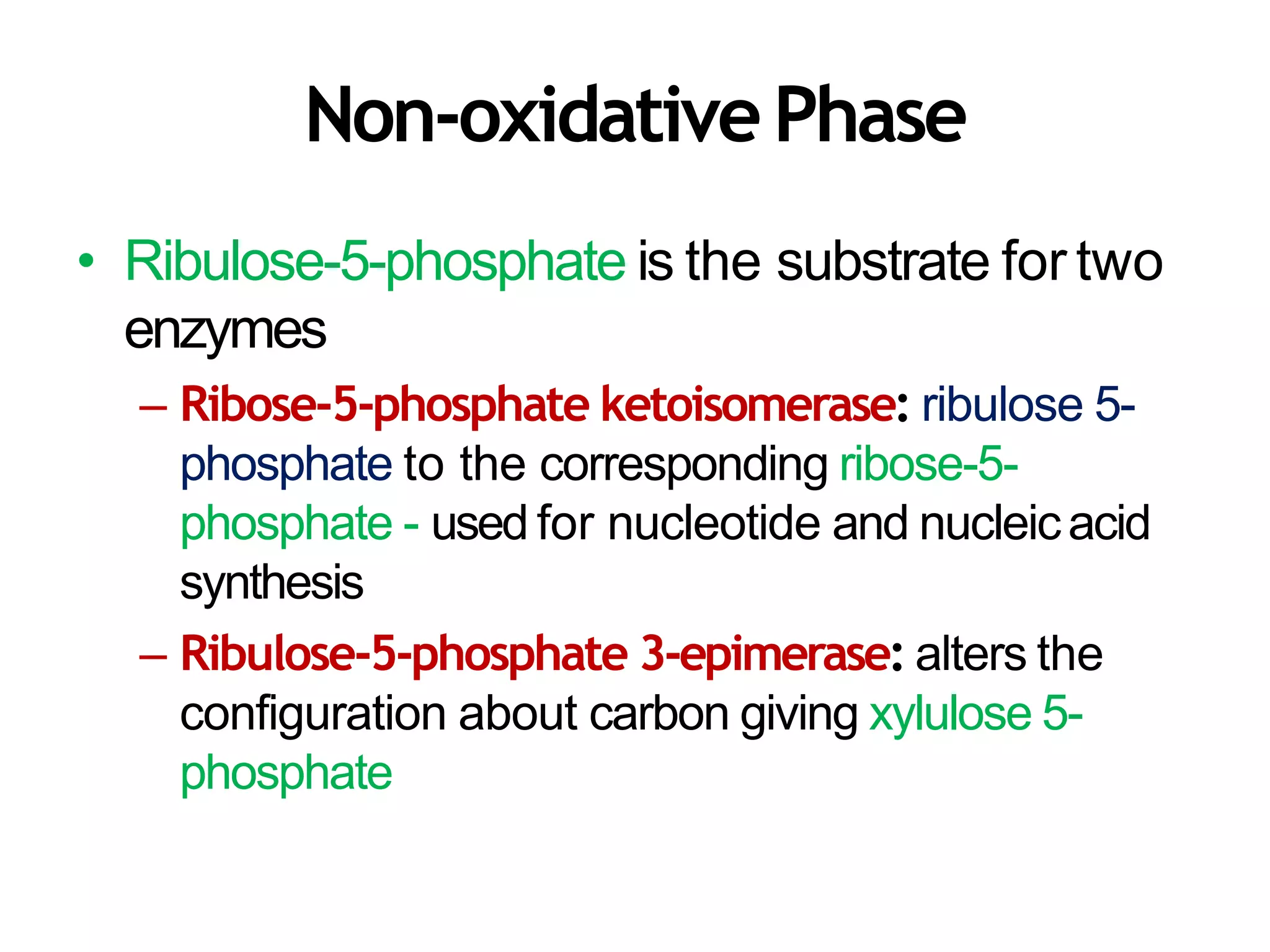 Non-oxidativePhase
• Ribulose-5-phosphate is the substrate for two
enzymes
– Ribose-5-phosphate ketoisomerase: ribulose 5-
phosphate to the corresponding ribose-5-
phosphate - used for nucleotide and nucleicacid
synthesis
– Ribulose-5-phosphate 3-epimerase: alters the
configuration about carbon giving xylulose 5-
phosphate
 