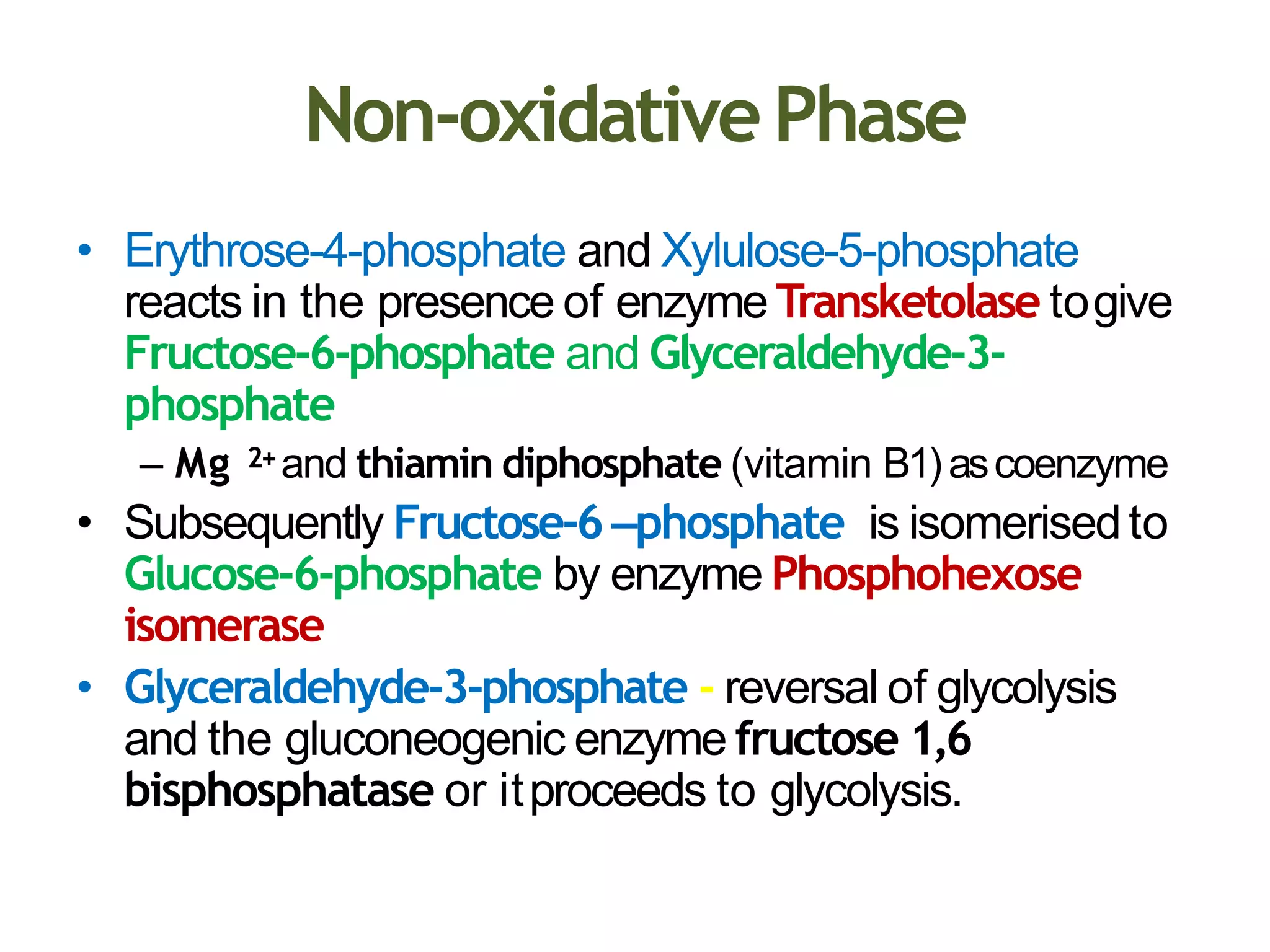Non-oxidativePhase
• Erythrose-4-phosphate and Xylulose-5-phosphate
reacts in the presence of enzyme Transketolase togive
Fructose-6-phosphate and Glyceraldehyde-3-
phosphate
– Mg 2+and thiamin diphosphate (vitamin B1)ascoenzyme
• Subsequently Fructose-6 –phosphate is isomerisedto
Glucose-6-phosphate by enzyme Phosphohexose
isomerase
• Glyceraldehyde-3-phosphate - reversal of glycolysis
and the gluconeogenic enzyme fructose 1,6
bisphosphatase or itproceeds to glycolysis.
 