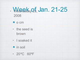 Week of Jan. 21-25 Wednesday 23, 2008  o cm the seed is brown I soaked it in soil 20   ºC  60ºF 