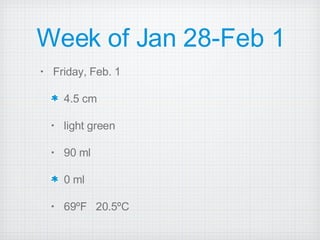 Week of Jan 28-Feb 1 Friday, Feb. 1 4.5 cm light green 90 ml 0 ml 69ºF  20.5ºC 