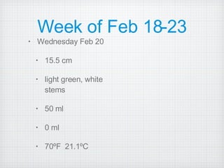 Week of Feb 18-23 Wednesday Feb 20 15.5 cm light green, white stems  50 ml 0 ml 70ºF  21.1ºC 