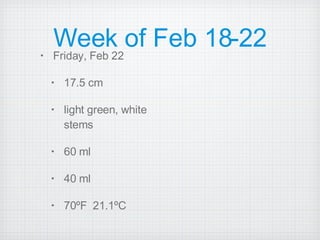 Week of Feb 18-22 Friday, Feb 22 17.5 cm light green, white stems  60 ml 40 ml 70ºF  21.1ºC 