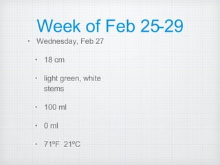 Week of Feb 25-29 Wednesday, Feb 27  18 cm  light green, white stems 100 ml 0 ml  71ºF  21ºC 