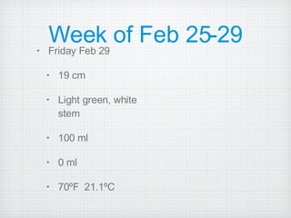 Week of Feb 25-29 Friday Feb 29 19 cm Light green, white stem 100 ml 0 ml 70ºF  21.1ºC 