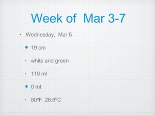 Week of  Mar 3-7 Wednesday,  Mar 5 19 cm  white and green 110 ml 0 ml 80ºF  26.6ºC 
