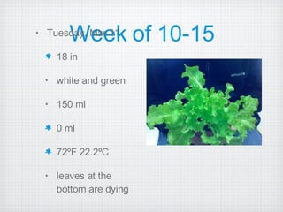Week of 10-15 Tuesday, Mar 11 18 in white and green 150 ml 0 ml 72ºF 22.2ºC leaves at the bottom are dying 