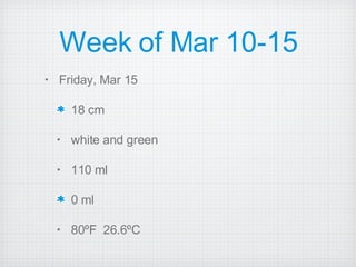 Week of Mar 10-15 Friday, Mar 15 18 cm white and green  110 ml 0 ml 80ºF  26.6ºC 