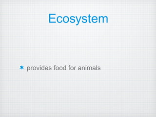 Ecosystem provides food for animals 