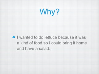 Why? I wanted to do lettuce because it was a kind of food so I could bring it home and have a salad. 
