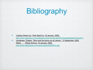 Bibliography “ Lettuce Green Ice.” Park Seed Co. 16 January, 2008.  http://www.parkseed.com/webapp/wcs/stores/servlet/StoreCatalogDisplay?storeId=10101&catalogId=10101&langId=-1&cid=pblog0001&mainPage=prod2working&ItemId=5158 Vandaveer, Chelsie. “Who took the toxins out of Lettuce.” 12 September, 2002. Wierd  Plants Archive. 16 January, 2008.  http://www.killerplants.com/weird-plants/20020912.asp   