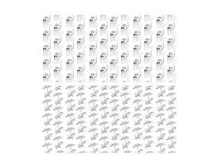 Ppp secondyear-presentation