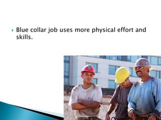    Blue collar job uses more physical effort and
    skills.
 