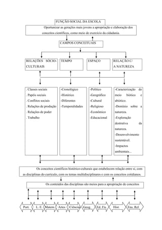 FUNÇÃO SOCIAL DA ESCOLA
Oportunizar as gerações mais jovens a apropriação e elaboração dos
conceitos científicos, como meio de exercício da cidadania.
CAMPOS CONCEITUAIS
RELAÇÕES SÓCIO-
CULTURAIS
TEMPO ESPAÇO RELAÇÃO C/
A NATUREZA
. Classes sociais
. Papéis sociais
. Conflitos sociais
. Relações de produção
. Relações de poder
. Trabalho
-Cronológico
-Histórico
-Diferentes
-Temporalidades
-Político
-Geográfico
-Cultural
-Religioso
-Econômico
-Educacional
-Caracterização do
meio biótico e
abiótico.
-Domínio sobre a
natureza.
-Exploração
destrutiva da
natureza.
-Desenvolvimento
sustentável.
-Impactos
ambientais...
Os conceitos científicos histórico-culturais que estabelecem relação entre si, com
as disciplinas do currículo, com os temas multidisciplinares e com os conceitos cotidianos.
Os conteúdos das disciplinas são meios para a apropriação de conceitos
Port. L. E. Matem. Artes Ciências Geog. Ed. Fís. Hist. Ens. Rel
 
