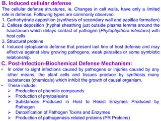 ppp 211 lecture 11.pptx