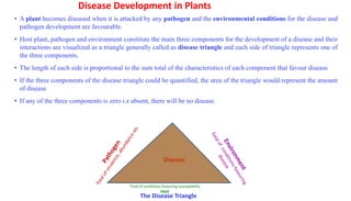 Disease Development in Plants
• A plant becomes diseased when it is attacked by any pathogen and the environmental conditions for the disease and
pathogen development are favourable.
• Host plant, pathogen and environment constitute the main three components for the development of a disease and their
interactions are visualized as a triangle generally called as disease triangle and each side of triangle represents one of
the three components.
• The length of each side is proportional to the sum total of the characteristics of each component that favour disease
• If the three components of the disease triangle could be quantified, the area of the triangle would represent the amount
of disease
• If any of the three components is zero i.e absent, there will be no disease.
Total of conditions favouring susceptibility
Host
The Disease Triangle
Disease
 