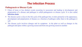 ppp211lecture8-221211055228-824cf9da.pptx