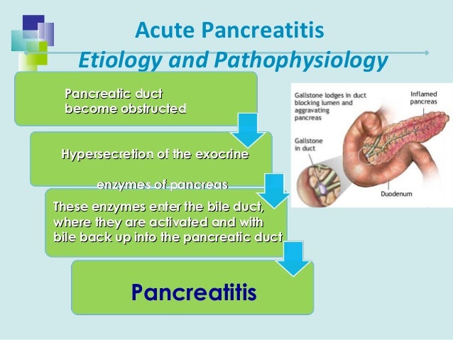 Pancreatitis dieta