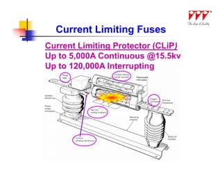 Current Limiting Fuses
Current Limiting Protector (CLiP)
Up to 5,000A Continuous @15.5kv
Up to 120,000A Interrupting
 