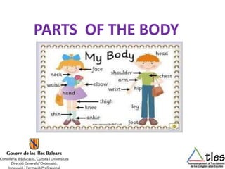 PARTS OF THE BODY
 