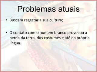 Problemas atuais Buscam resgatar a sua cultura; O contato com o homem branco provocou a perda da terra, dos costumes e até da própria língua. 