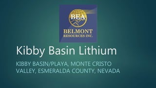 Kibby Basin Lithium
KIBBY BASIN/PLAYA, MONTE CRISTO
VALLEY, ESMERALDA COUNTY, NEVADA
 