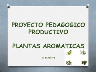 PROYECTO PEDAGOGICO
    PRODUCTIVO

PLANTAS AROMATICAS
       II SEMESTRE
 