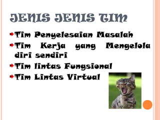 JENIS JENIS TIM
Tim Penyelesaian Masalah
Tim Kerja yang Mengelola
diri sendiri
Tim lintas Fungsional
Tim Lintas Virtual

 