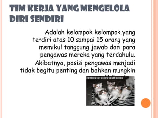 TIM KERJA YANG MENGELOLA
DIRI SENDIRI
Adalah kelompok kelompok yang
terdiri atas 10 sampai 15 orang yang
memikul tanggung jawab dari para
pengawas mereka yang terdahulu.
Akibatnya, posisi pengawas menjadi
tidak begitu penting dan bahkan mungkin
dihilangkan.

 
