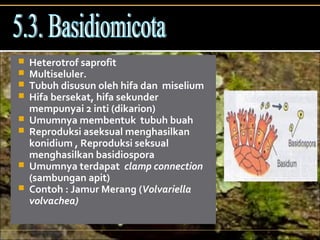  Heterotrof saprofit
 Multiseluler.
 Tubuh disusun oleh hifa dan miselium
 Hifa bersekat, hifa sekunder
mempunyai 2 inti (dikarion)
 Umumnya membentuk tubuh buah
 Reproduksi aseksual menghasilkan
konidium , Reproduksi seksual
menghasilkan basidiospora
 Umumnya terdapat clamp connection
(sambungan apit)
 Contoh : Jamur Merang (Volvariella
volvachea)
 
