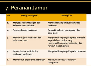 No Menguntungkan Merugikan
1. Menjaga keseimbangan dan
kelestarian ekosistem
Menyebabkan pembusukan pada
makanan
2. Sumber bahan makanan Penyakit saluran pernapasan dan
paru-paru
3. Membuat jenis makanan dan
minuman baru
Menyebabkan penyakit pada manusia
seperti tinea kapitis yang
menyebabkan gatal, ketombe, dan
rambut mudah patah
4. Obat-obatan, antibiotika,
makanan suplemen
Menyebabkan penyakit pada tanaman
5. Membunuh organisme pathogen Melapukkan batu candi atau
bangunan
 