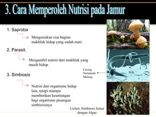 1. Saproba
Menguraikan sisa bagian
makhluk hidup yang sudah mati.
2. Parasit.
Mengambil nutrisi dari makhluk yang
masih hidup.
Nutrisi dari organisme hidup
lain, tetapi mampu
memberikan keuntungan
bagi organisme pasangan
simbiosisnya
3. Simbiosis
Hifa
Cacing
Nematoda
Malang
Lichen, Simbiosis Jamur
dengan Algae
 