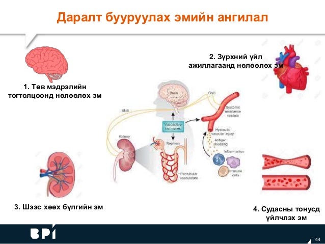 Эрүүл Зүрх Эрүүл Улаанбаатар