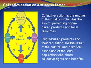 Collective action is the engine
of the quality circle. Has the
aim of promoting origin-
based products and local
resources.
Origin-based products and
their reputation are the result
of the cultural and historical
dimension of the local
population who share
collective rights and benefits.
Collective action as a success factor
 
