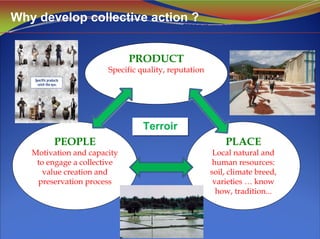 TerroirTerroir
Why develop collective action ?
PEOPLE
Motivation and capacity
to engage a collective
value creation and
preservation process
PLACE
Local natural and
human resources:
soil, climate breed,
varieties … know
how, tradition...
PRODUCT
Specific quality, reputation
 