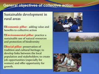 General objectives of collective action
Sustainable development in 
rural areas
Economic pillar:  adding value and 
benefits to collective action
Environmental pillar: practice a 
sustainable use of natural resources 
and protection of biodiversity
Social pillar: preservation of 
tradition and cultural heritage; to 
develop links between the local 
population and stakeholders; to create 
job opportunities (especially for 
women) and offer opportunity for 
growth.  
Sustainable development in 
rural areas
Economic pillar:  adding value and 
benefits to collective action
Environmental pillar: practice a 
sustainable use of natural resources 
and protection of biodiversity
Social pillar: preservation of 
tradition and cultural heritage; to 
develop links between the local 
population and stakeholders; to create 
job opportunities (especially for 
women) and offer opportunity for 
growth.  
 