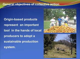 Origin-based products
represent an important
tool in the hands of local
producers to adopt a
sustainable production
system.
General objectives of collective action
 