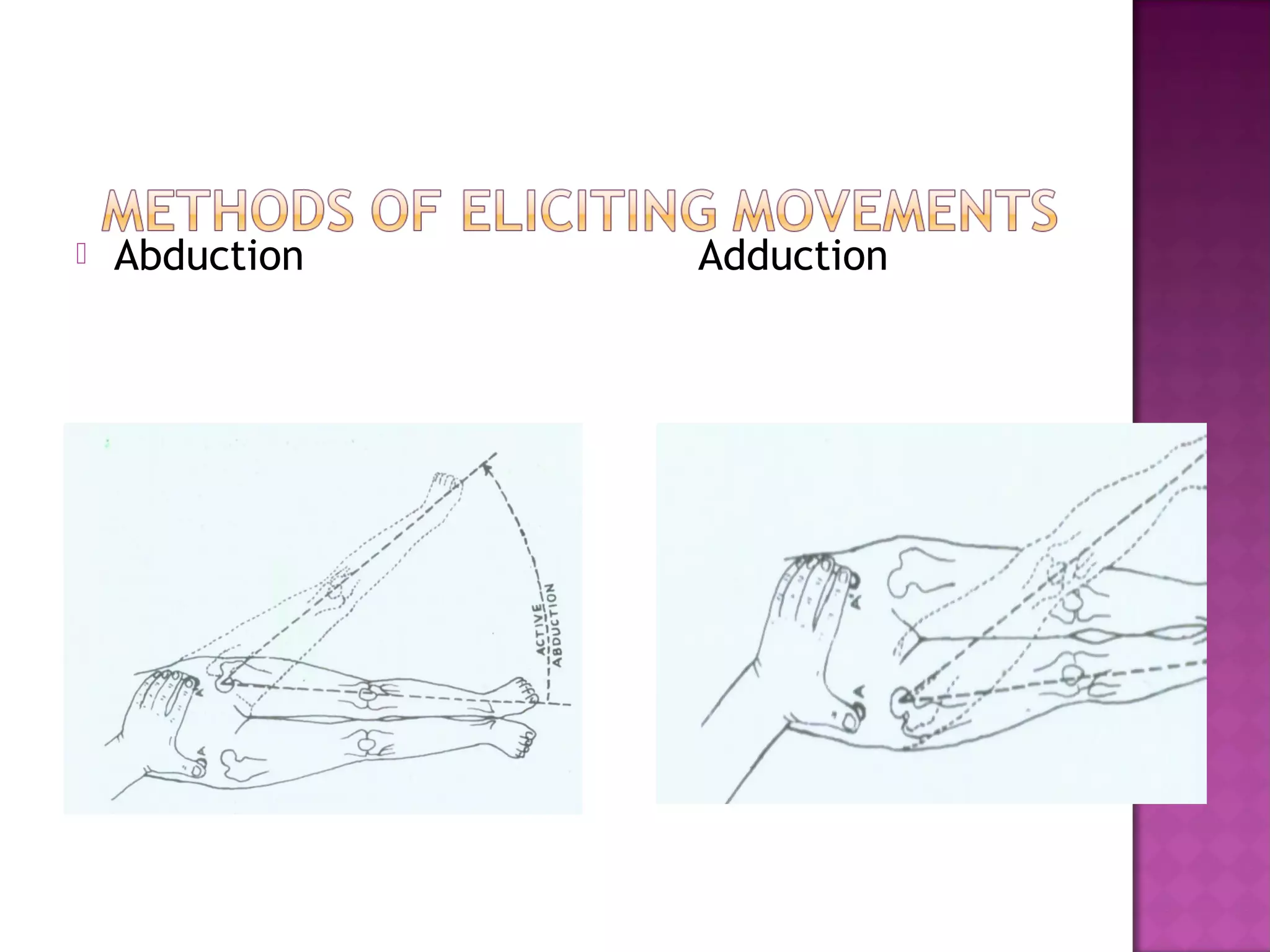    Abduction   Adduction
 