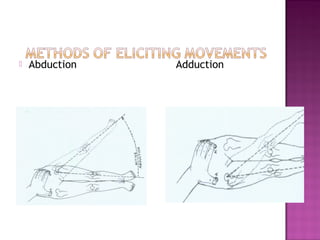   Abduction   Adduction
 