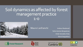 Soil dynamics as affected by forest management practice