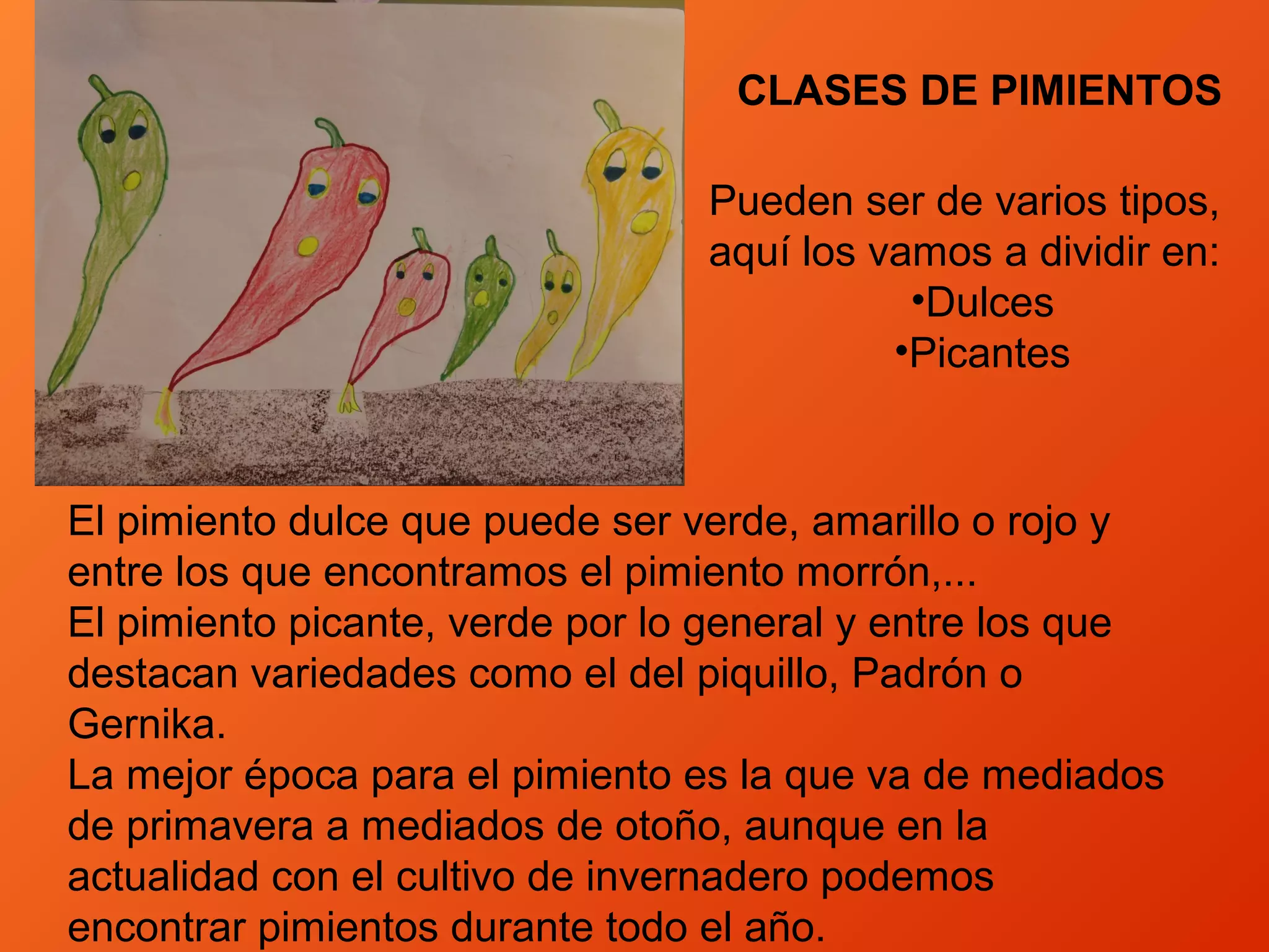 El pimiento dulce que puede ser verde, amarillo o rojo y
entre los que encontramos el pimiento morrón,...
El pimiento picante, verde por lo general y entre los que
destacan variedades como el del piquillo, Padrón o
Gernika.
La mejor época para el pimiento es la que va de mediados
de primavera a mediados de otoño, aunque en la
actualidad con el cultivo de invernadero podemos
encontrar pimientos durante todo el año.
CLASES DE PIMIENTOS
Pueden ser de varios tipos,
aquí los vamos a dividir en:
•Dulces
•Picantes
 