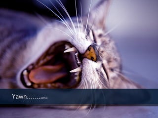 Yawn…….catTax
 
