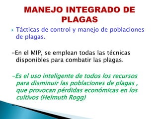Helmuth Rogg PP PLAGAS Y ENFERMEDADES-07-2016-BJV.pdf