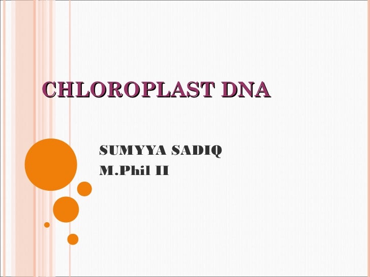 Diagram Chloroplast Dna - Aflam-Neeeak