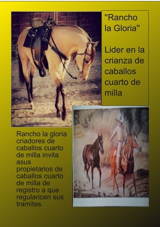 ''Rancho
la Gloria''
Lider en la
crianza de
caballos
cuarto de
milla
Rancho la gloria
criadores de
caballos cuarto
de milla invita
asus
propietarios de
caballos cuarto
de milla de
registro a que
regularicen sus
tramites.
 