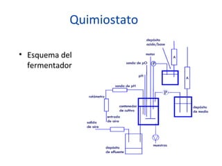 Quimiostato

• Esquema del
  fermentador
 