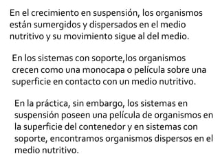 En el crecimiento en suspensión, los organismos
están sumergidos y dispersados en el medio
nutritivo y su movimiento sigue al del medio.

En los sistemas con soporte,los organismos
crecen como una monocapa o película sobre una
superficie en contacto con un medio nutritivo.

 En la práctica, sin embargo, los sistemas en
 suspensión poseen una película de organismos en
 la superficie del contenedor y en sistemas con
 soporte, encontramos organismos dispersos en el
 medio nutritivo.
 