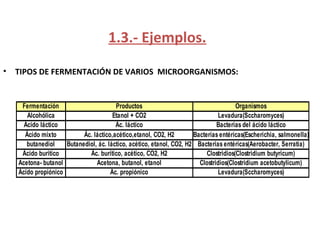 1.3.- Ejemplos.
•   TIPOS DE FERMENTACIÓN DE VARIOS MICROORGANISMOS:


     Fermentación                       Productos                                      Organismos
       Alcohólica                      Etanol + CO2                            Levadura(Sccharomyces)
      Ácido láctico                     Ác. láctico                            Bacterias del ácido láctico
      Ácido mixto          Ác. láctico,acético,etanol, CO2, H2        Bacterias entéricas(Escherichia, salmonella)
       butanediol    Butanediol, ác. láctico, acético, etanol, CO2, H2 Bacterias entéricas(Aerobacter, Serratia)
     Ácido buritico          Ác. burítico, acético, CO2, H2                Clostridios(Clostridium butyricum)
    Acetona- butanol            Acetona, butanol, etanol                Clostridios(Clostridium acetobutylicum)
    Ácido propiónico                  Ác. propiónico                           Levadura(Sccharomyces)
 