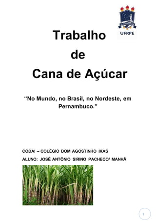 1
Trabalho
de
Cana de Açúcar
“No Mundo, no Brasil, no Nordeste, em
Pernambuco.”
CODAI – COLÉGIO DOM AGOSTINHO IKAS
ALUNO: JOSÉ ANTÔNIO SIRINO PACHECO/ MANHÃ
 
