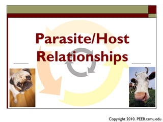Parasite/Host
Relationships

Copyright 2010. PEER.tamu.edu

 