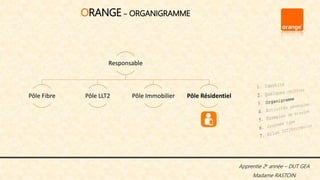 Apprentie 2e année – DUT GEA
Madame RASTOIN
Responsable
Pôle Fibre Pôle LLT2 Pôle Immobilier Pôle Résidentiel
ORANGE~ ORGANIGRAMME
 